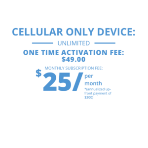 ANNUAL CELLULAR SERVICE PLAN